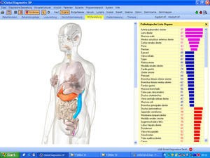 vitalfeldanalyse1